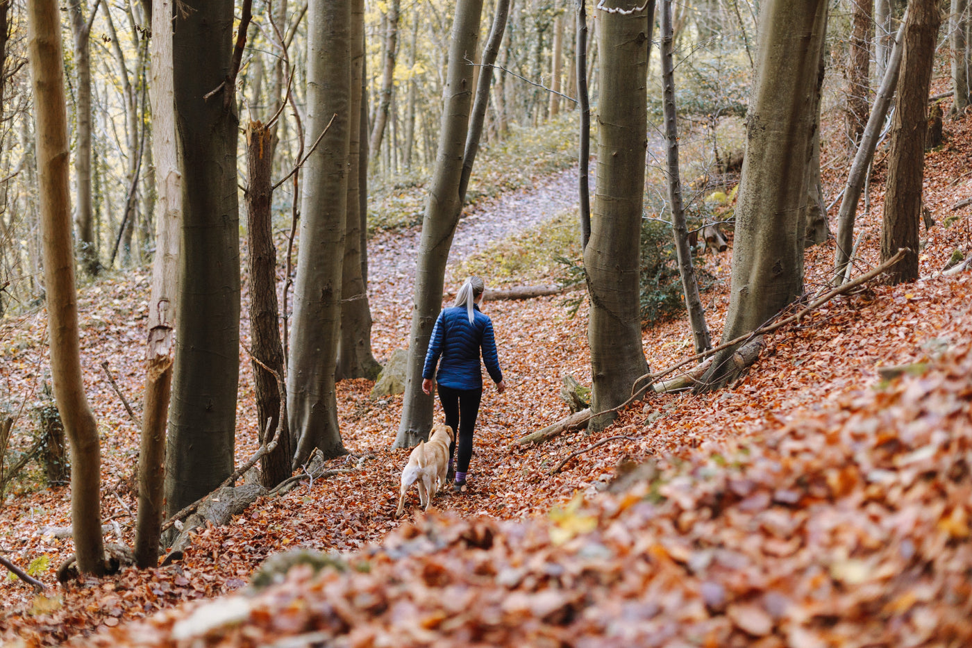 Fietsen en wandelen zijn dé activiteiten tijdens de Corona pandemie!