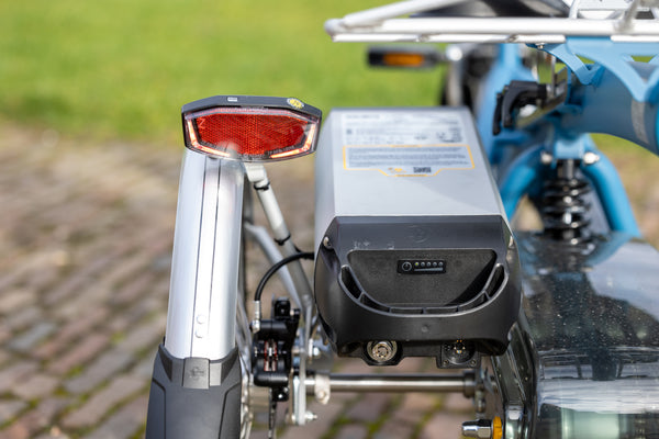 Van Raam Easy Rider Small - Elektrisch