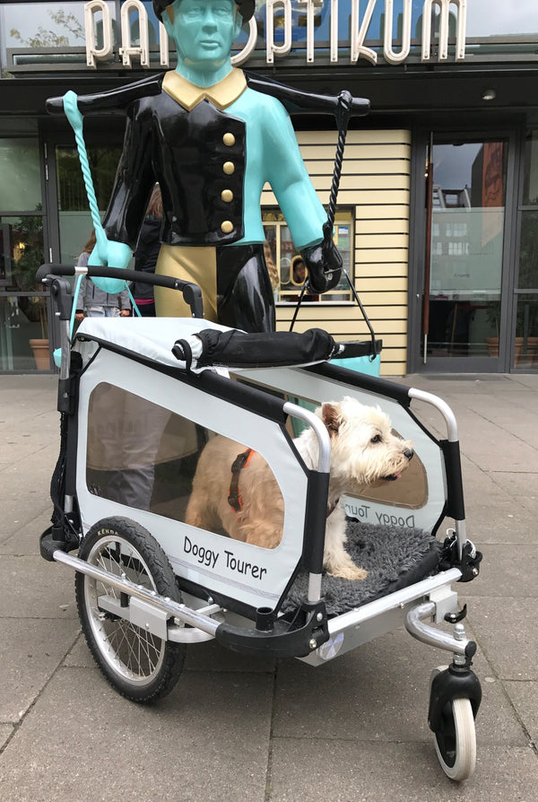 DoggyTourer XL Buggy-Set - zonder duwstang Doornbikes