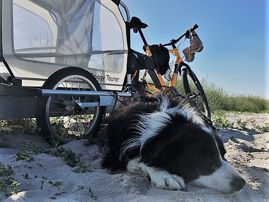 DoggyTourer fietsaanhanger - L - Marley Doornbikes