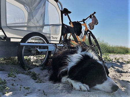 DoggyTourer fietsaanhanger - L - Marley Doornbikes