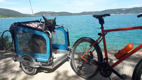 DoggyTourer cykeltrailer - L - Marley