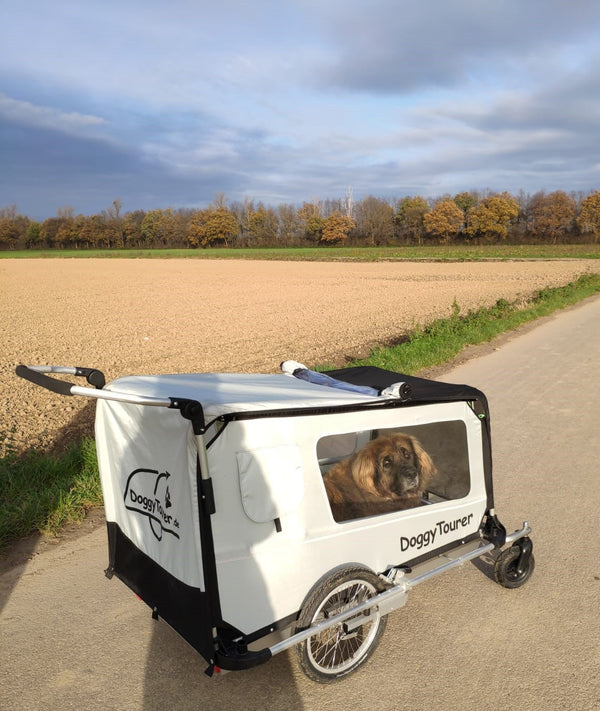DoggyTourer fietsaanhanger - XL Beethoven Doornbikes