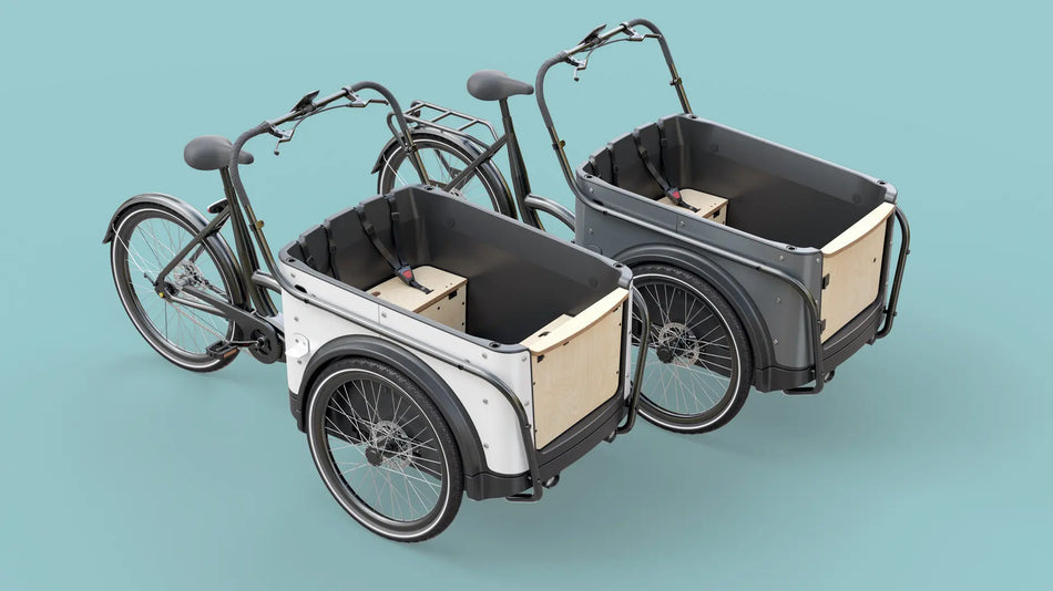 Royal 3-wiel bakfiets model ECO SHUTTLE