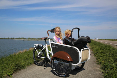 SociBike - Maxi-Cosi Standaard Doornbikes